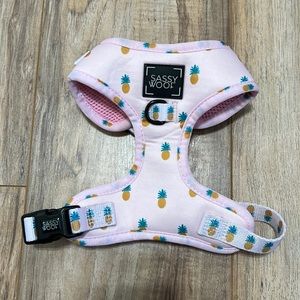 Sassy Woof Harness | Size XS | Only worn once